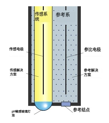 pH傳感器工作原理測(cè)量系統(tǒng)，pH傳感器的方程計(jì)算值