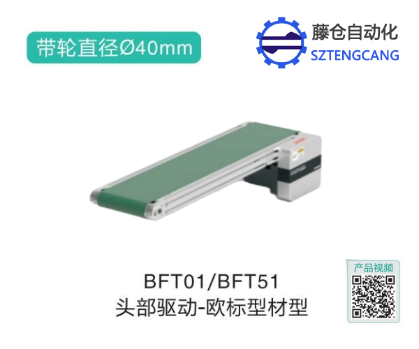 歐標型材型BFT01/BFT51頭部驅動氣力皮帶輸送機(圖1)
